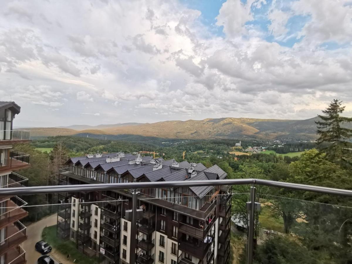 Apartament Z Widokiem Na Gory シクラルスカ・ポレンバ エクステリア 写真